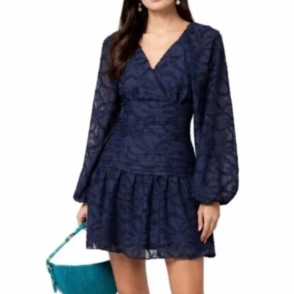 NWT Tanya Taylor Eva Navy Blue Burnout Puff Sleeve Shirred Mini Dress Size 4 - Picture 2 of 13